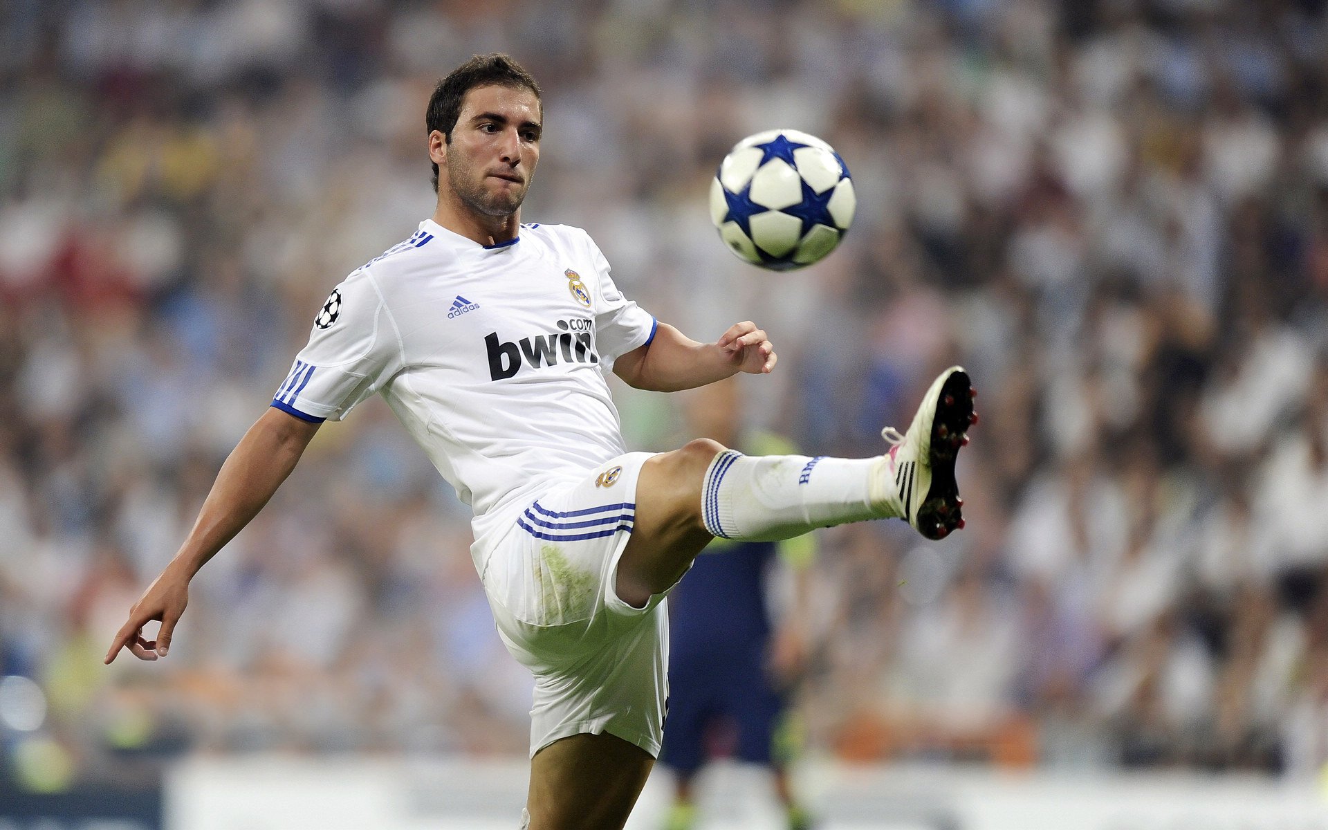 《巴黎人报》：荷兰女足在预选赛中与德国队激战，荷兰女足对巴西女足结果